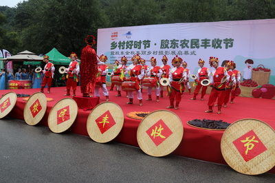 "胶东农民丰收节"在蓬莱艾山启幕